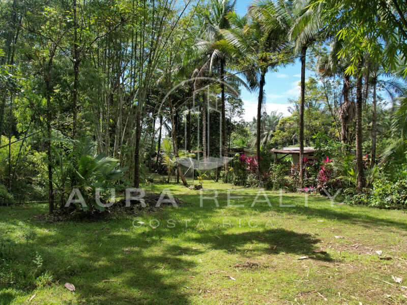 Propiedad con 3 casas rodeadas de naturaleza, Río Seco, Parrita