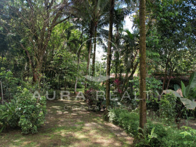 Propiedad con 3 casas rodeadas de naturaleza, Río Seco, Parrita