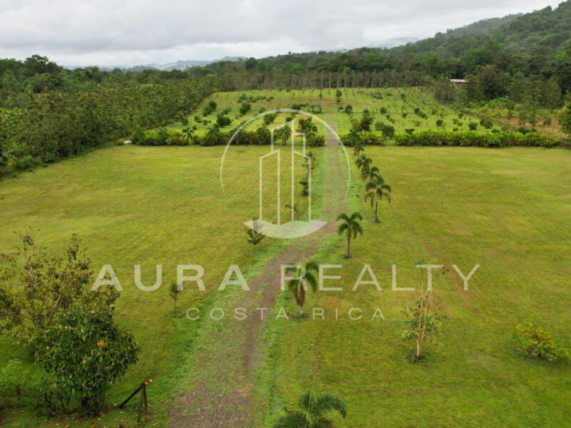 Finca San Antonio, Damitas, Parrita, Puntarenas