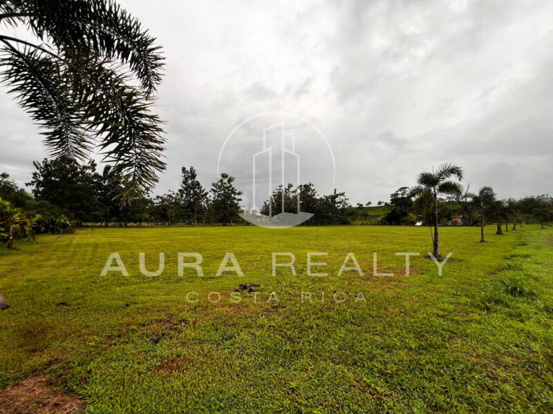 Finca San Antonio, Damitas, Parrita, Puntarenas