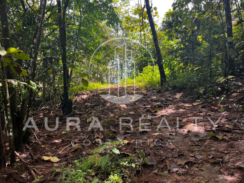 Lote Valeria