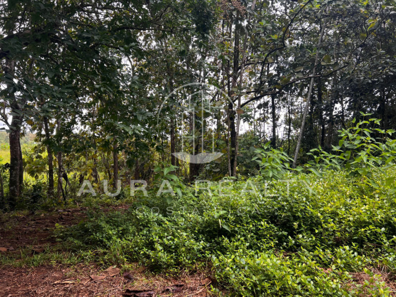 Lote Valeria