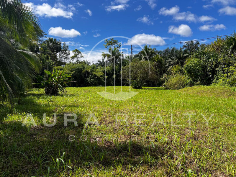 Propiedad con 3 casas rodeadas de naturaleza, Río Seco, Parrita