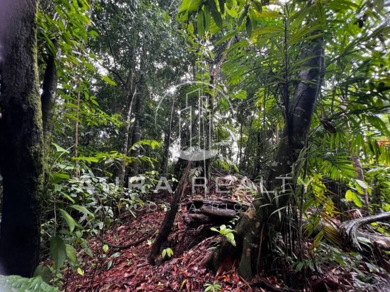 Espectacular propiedad en Uvita, Puntarenas.