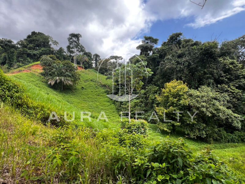 Espectacular propiedad en Uvita, Puntarenas.