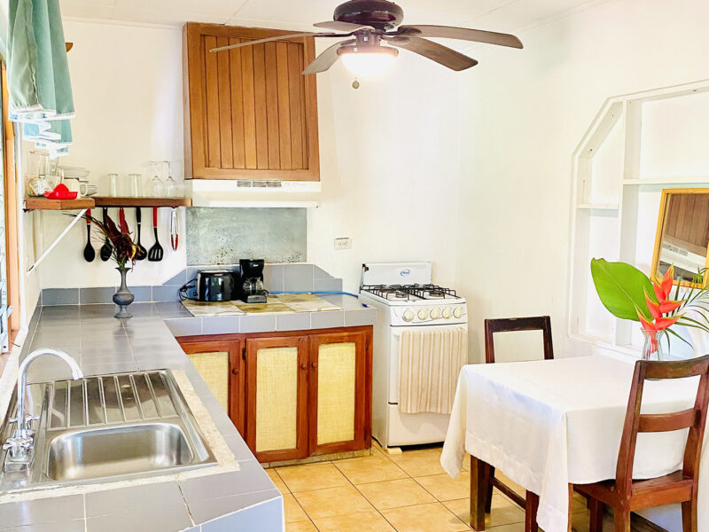 2 Casas en Ojochal Puntarenas para Vivir y Generar Ingresos en el Paraíso