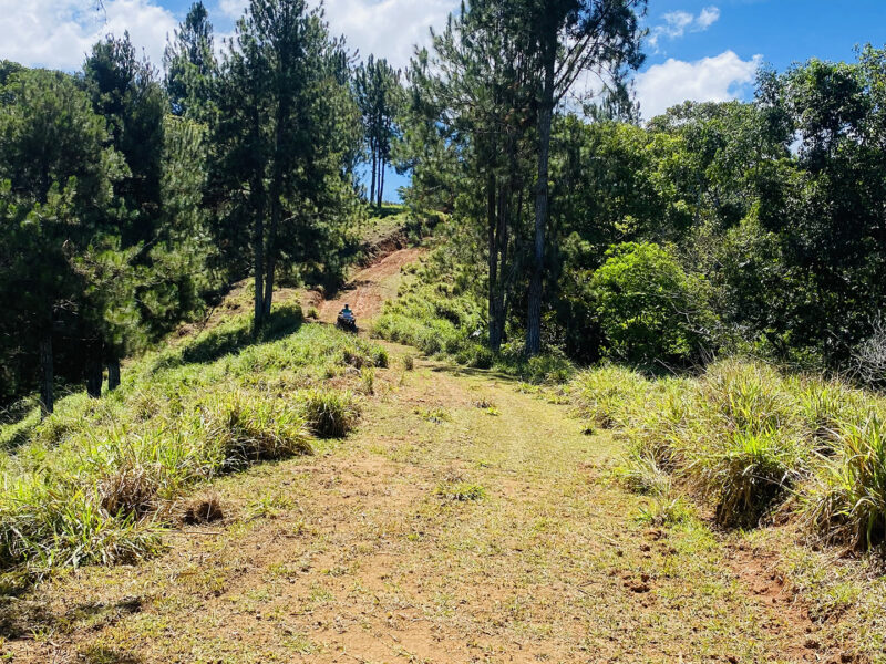 Finca Agrícola de 54 Acres en San Vito, Coto Brus
