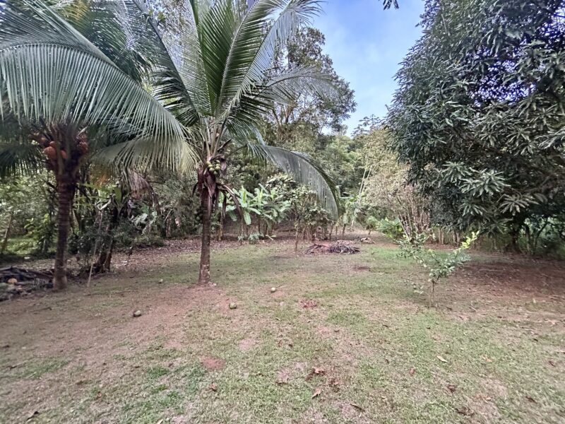 Lote Residencial en Londres de Quepos