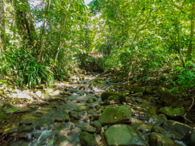 Terreno para desarrollo con frente a río en Las Brisas, Uvita