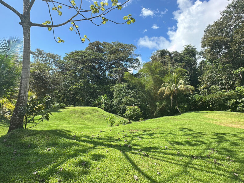 Terreno para desarrollo con frente a río en Las Brisas, Uvita