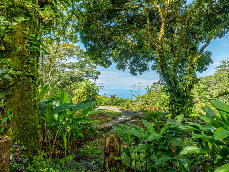 Exclusiva propiedad con vistas al océano, residencias independientes y potencial de desarrollo hotelero en Escaleras, Dominical