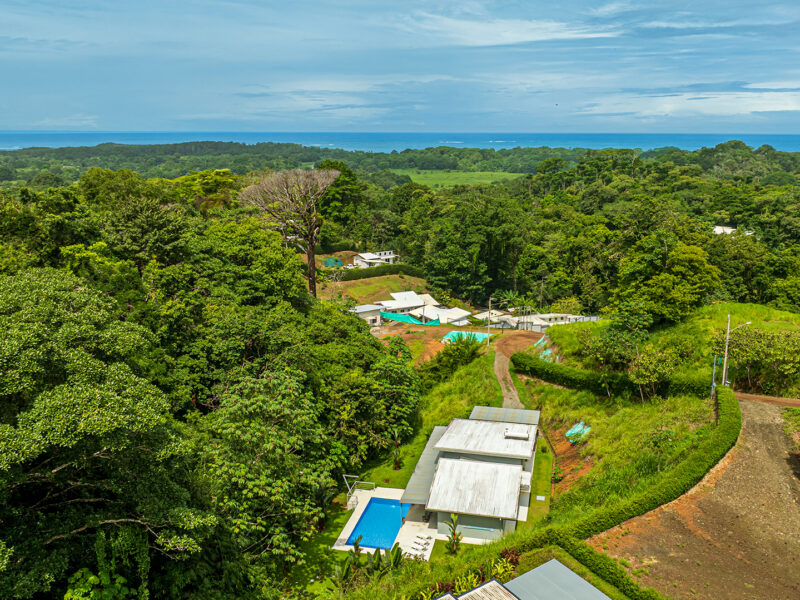 Residencia moderna de una planta con piscina privada, jardines tropicales y quebrada en Uvita.
