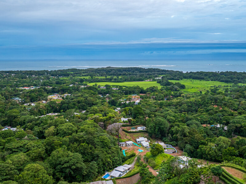 Residencia moderna de una planta con piscina privada, jardines tropicales y quebrada en Uvita.