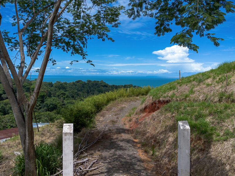 Luxury Ocean View Lot in Piñuelas