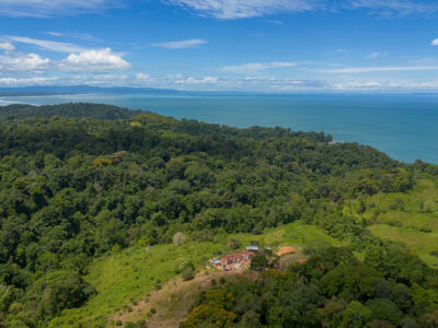 Luxury Ocean View Lot in Piñuelas