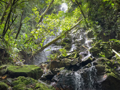Finca Ecológica en Pueblo Nuevo, Rivas – 15,3 Hectáreas con Catarata Privada, Nacientes y Bosque Natural.