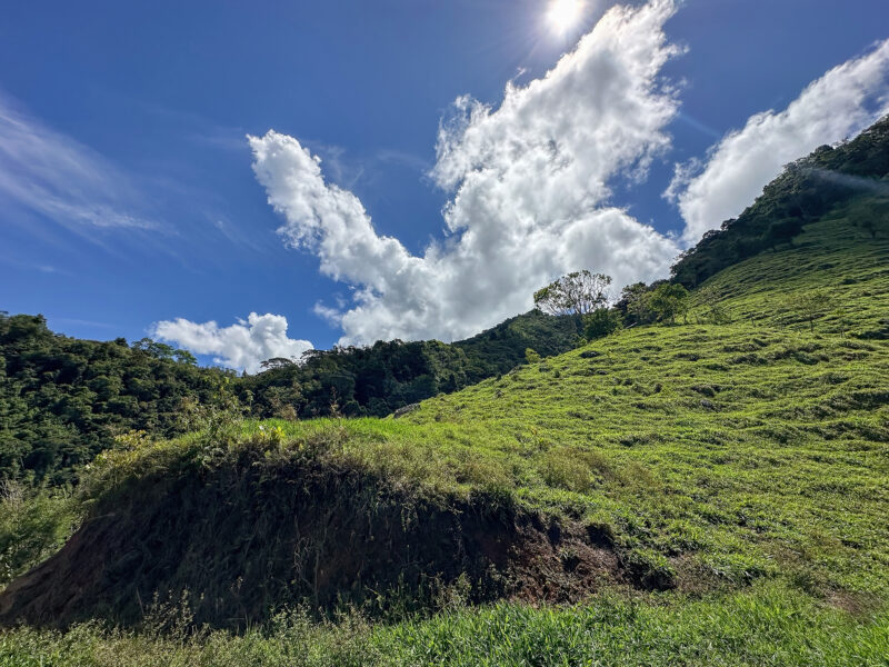 Finca Ecológica en Pueblo Nuevo, Rivas – 15,3 Hectáreas con Catarata Privada, Nacientes y Bosque Natural.