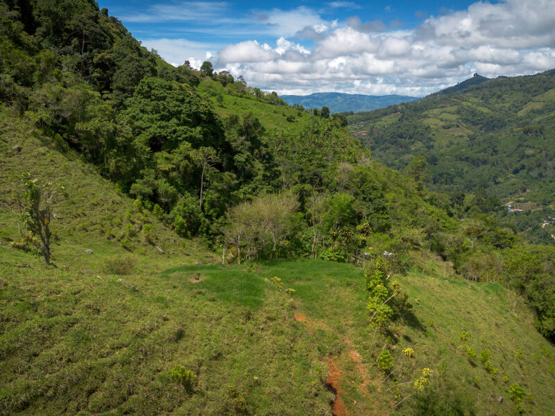 Finca Ecológica en Pueblo Nuevo, Rivas – 15,3 Hectáreas con Catarata Privada, Nacientes y Bosque Natural.