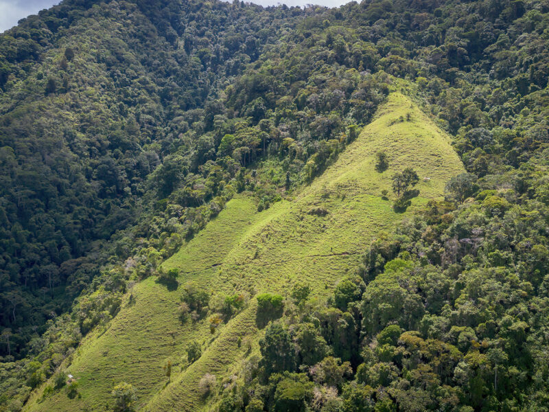Finca Ecológica en Pueblo Nuevo, Rivas – 15,3 Hectáreas con Catarata Privada, Nacientes y Bosque Natural.