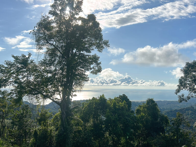 Tres lotes listos para construir con vista al océano y atardeceres durante todo el año en Vergel, Ojochal